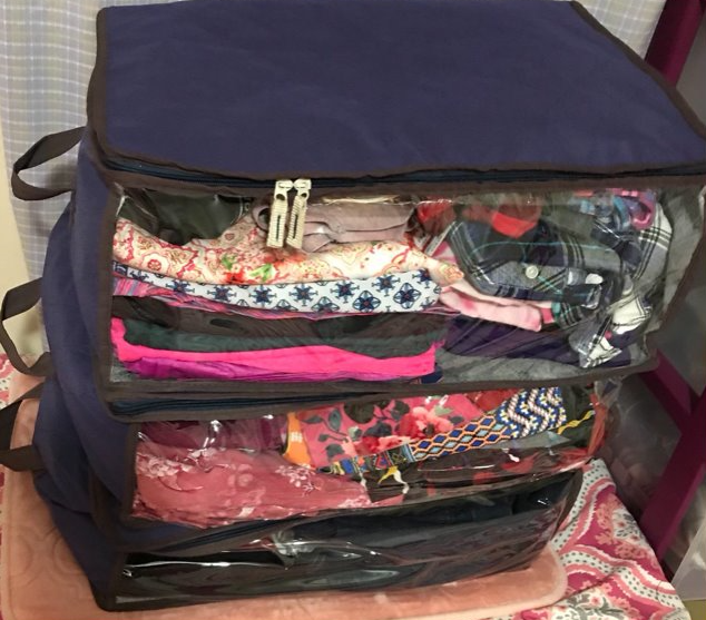 Clothing Organizer Bags