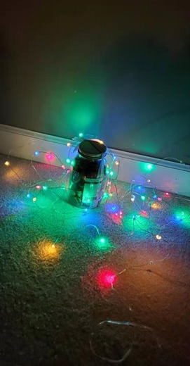 Lumary Music Sync 100 LED 33ft String Light