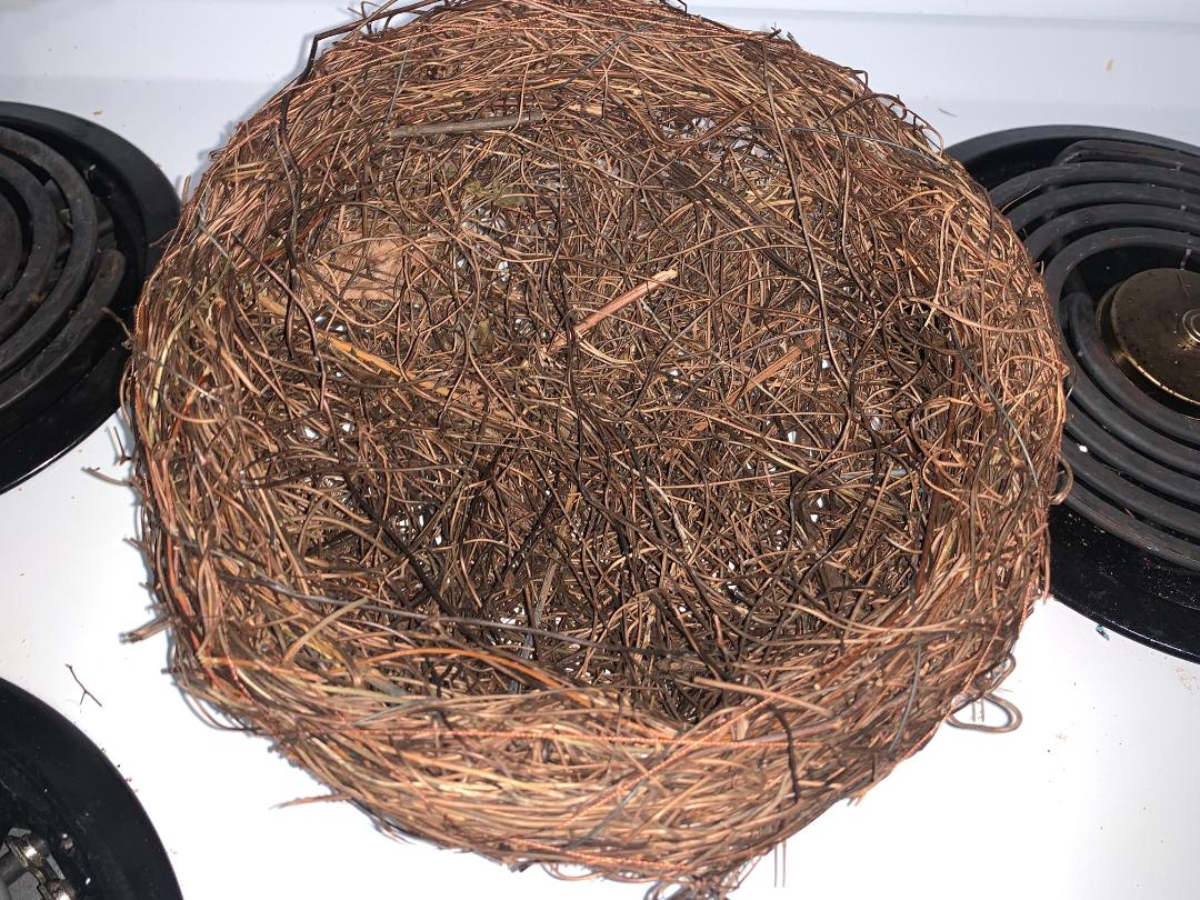 Looks like a Real Nest!