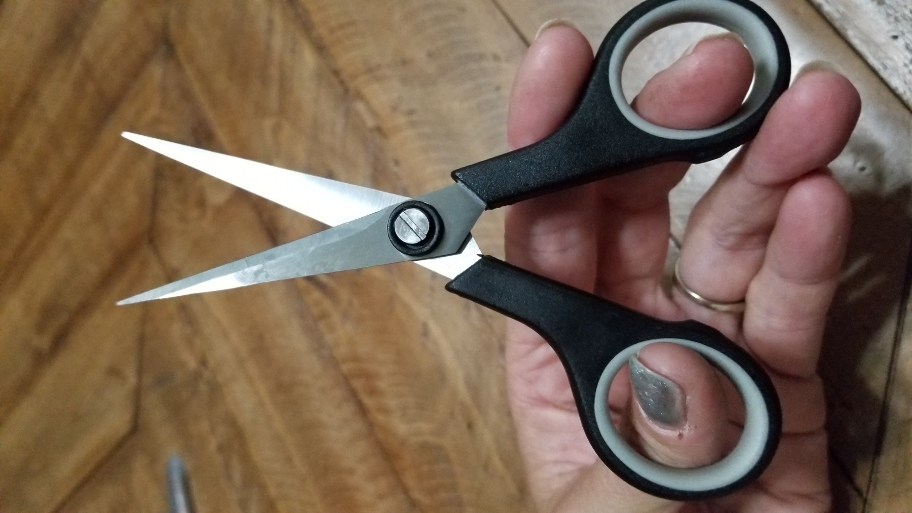 Great set of scissors