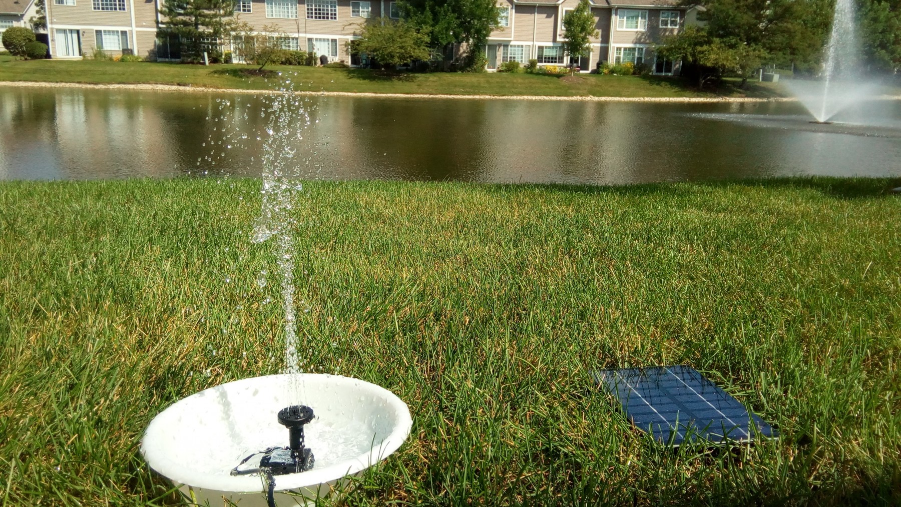 Quality Bird Water Fountain Solar Panel