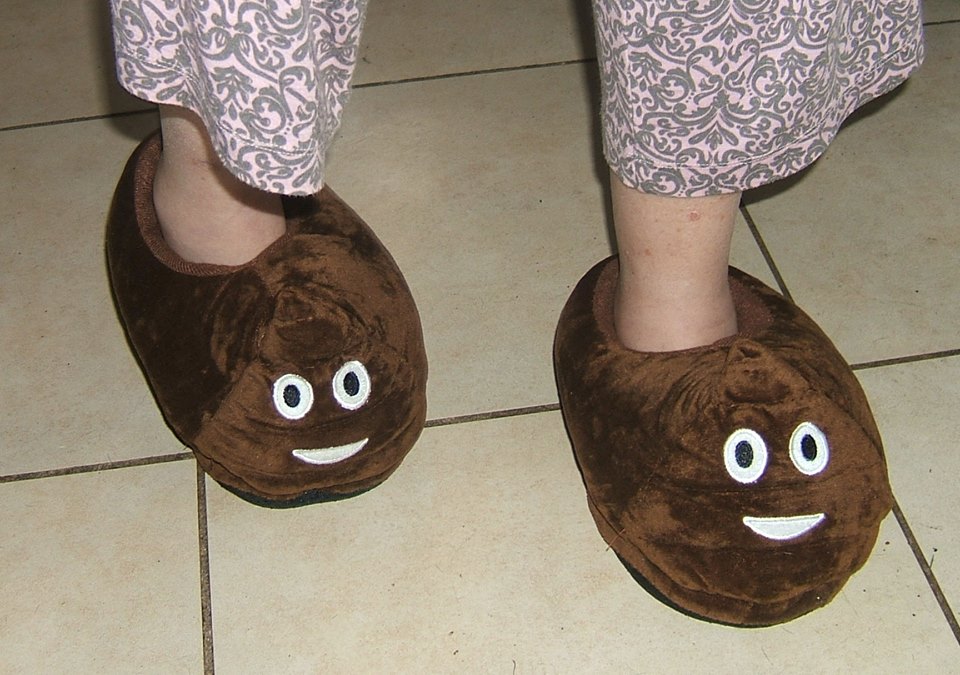 Oh No! I’ve Stepped in Poop!
