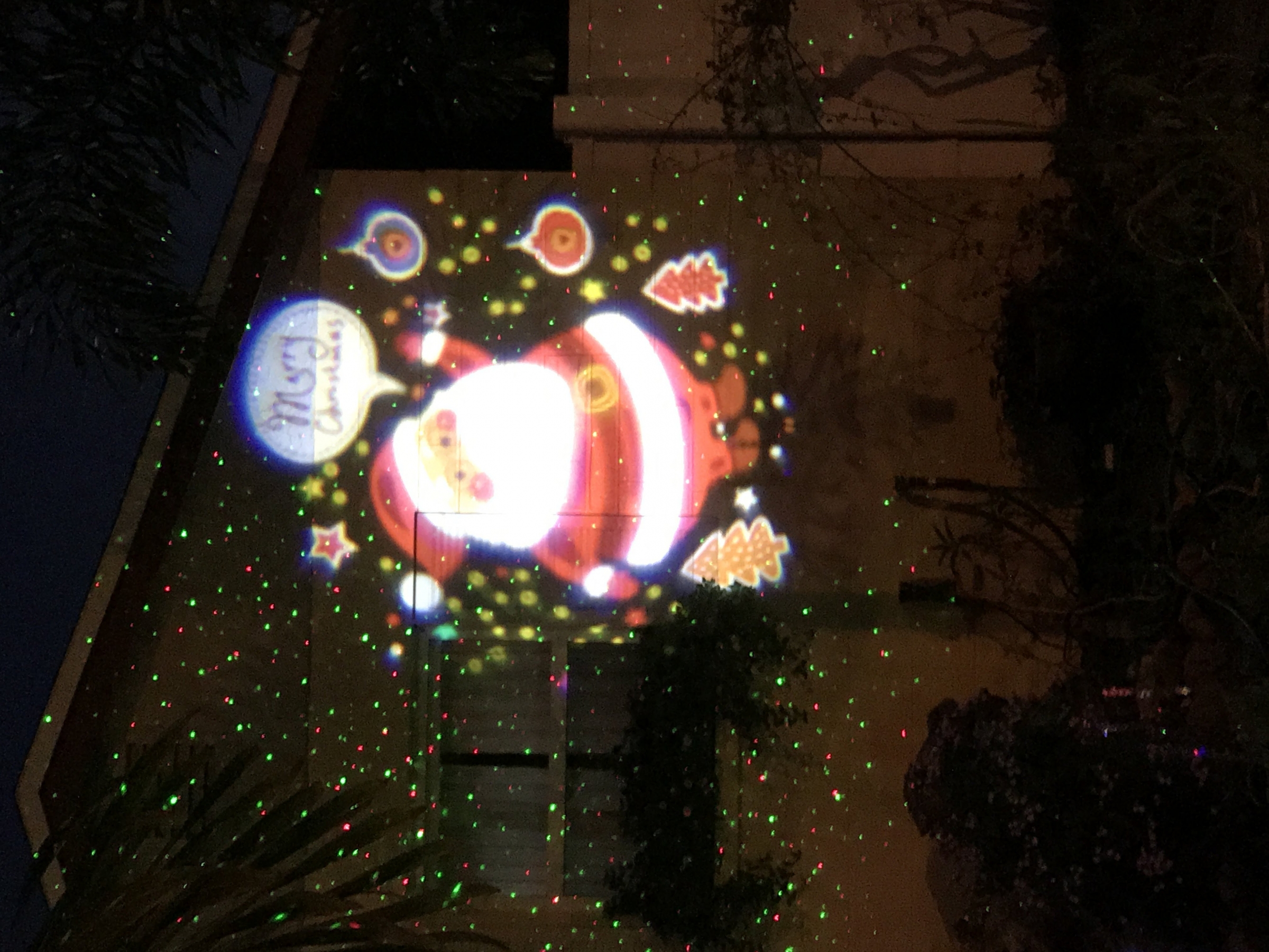 Holiday Projector