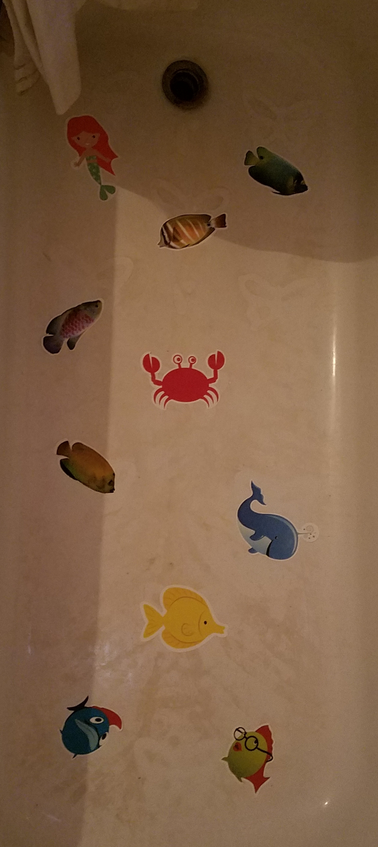 My bathtub was missing these and I never knew
