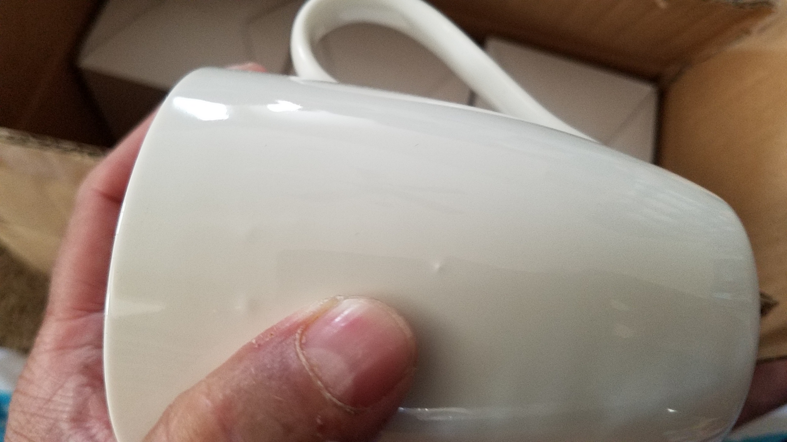 I love these plain ceramic dinnerware, but...