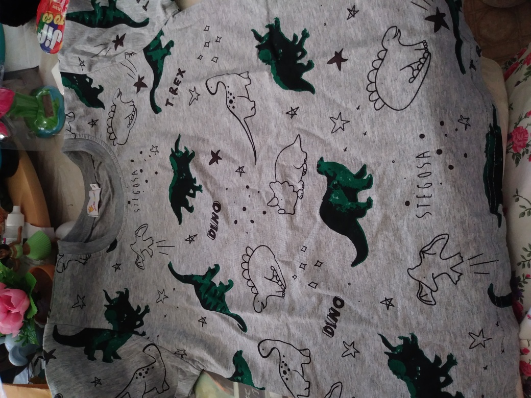 Little Boys Jurassic Dinasaur T Shirt