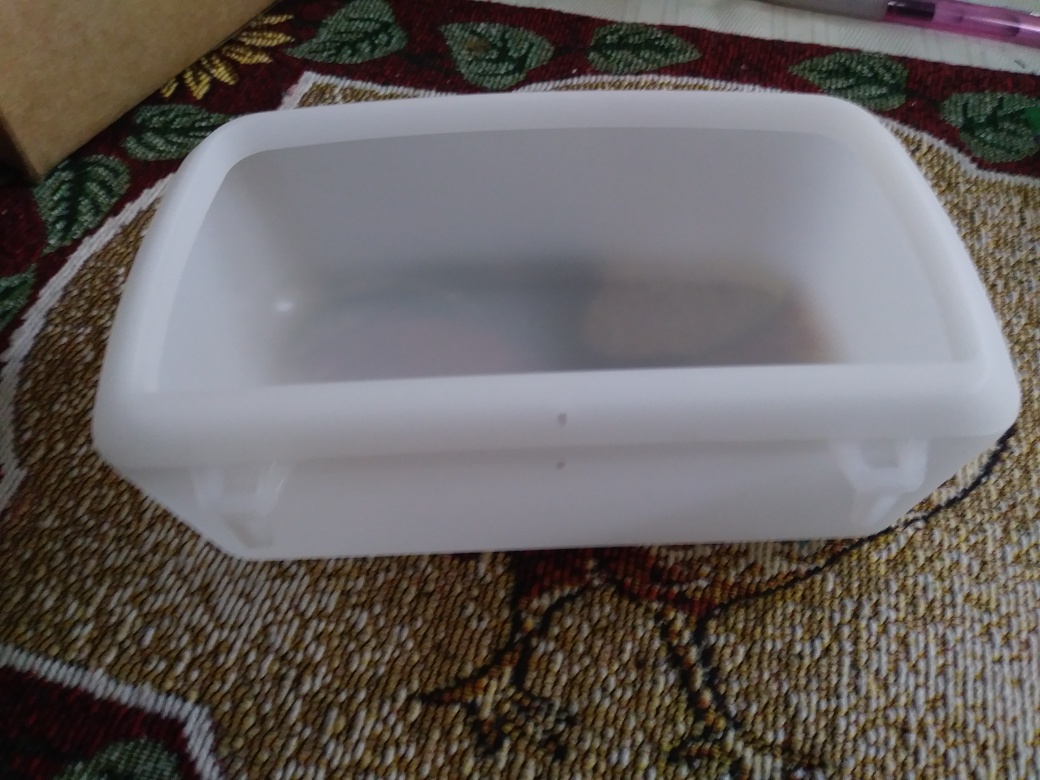 Plastic Bowl for pet crate