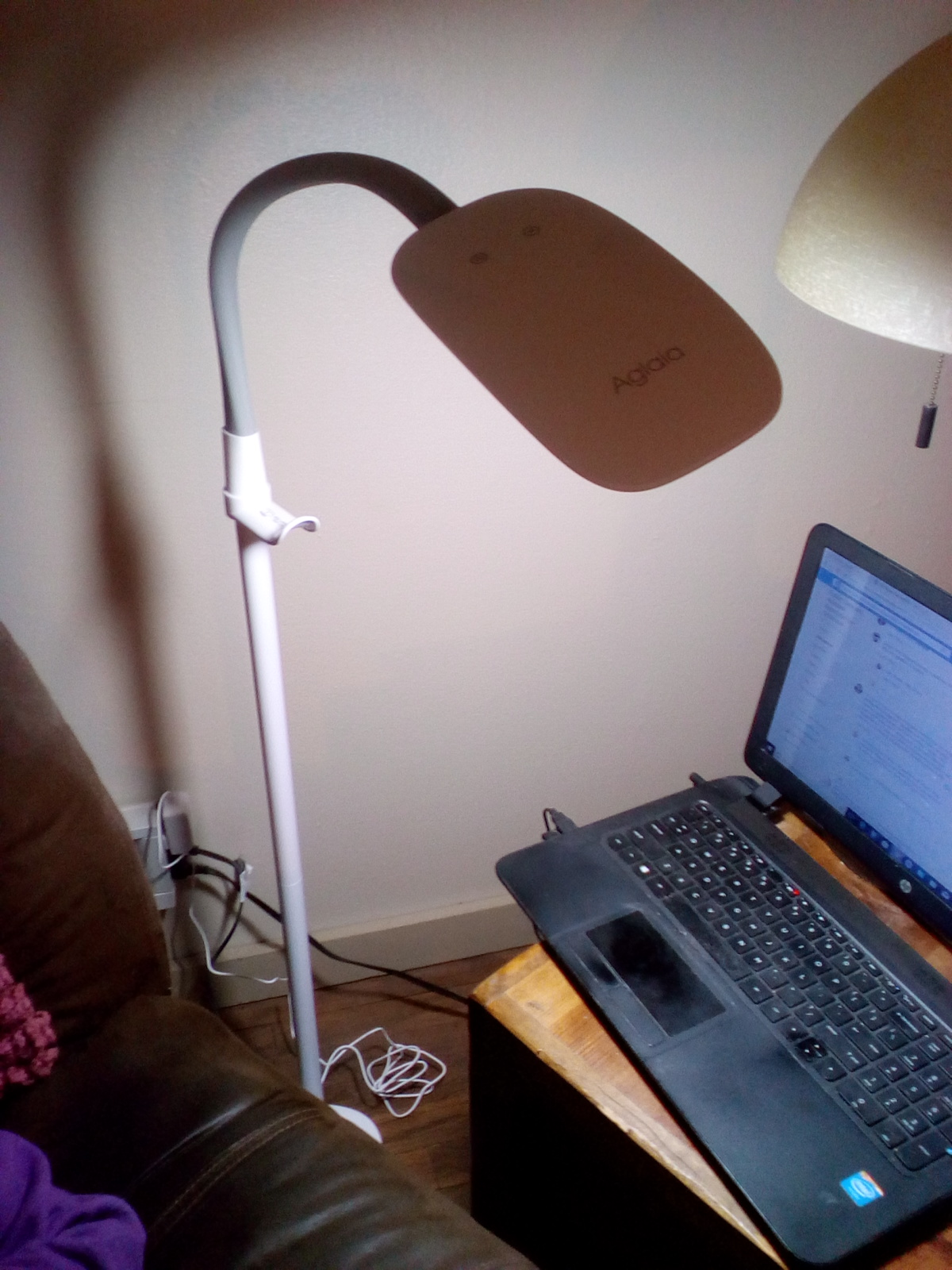 New technology gooseneck floor lamp