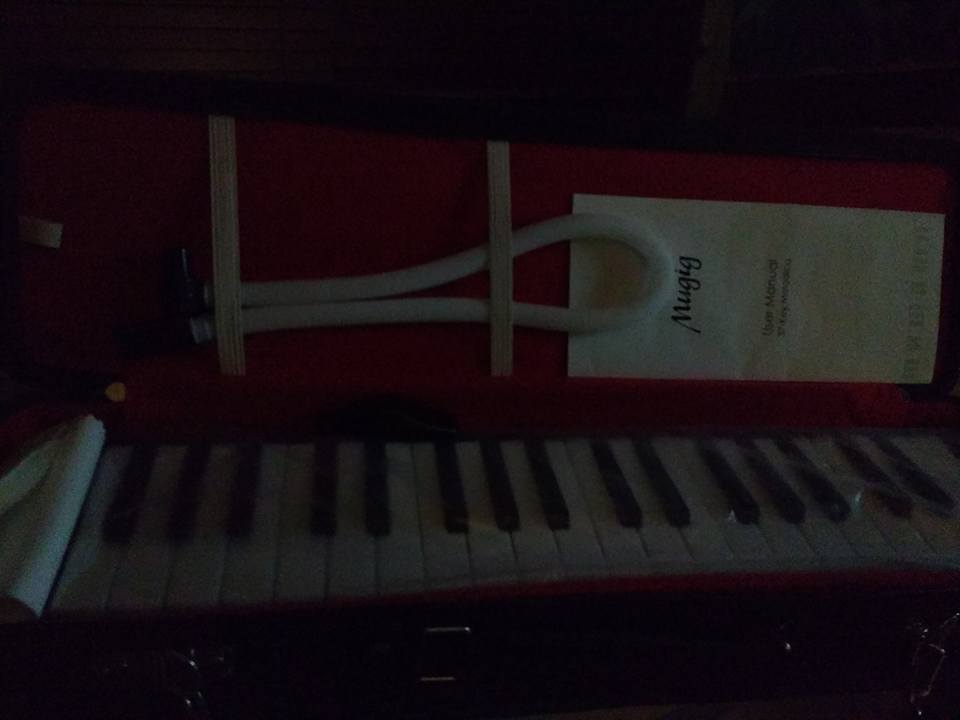 Great toy for any musician