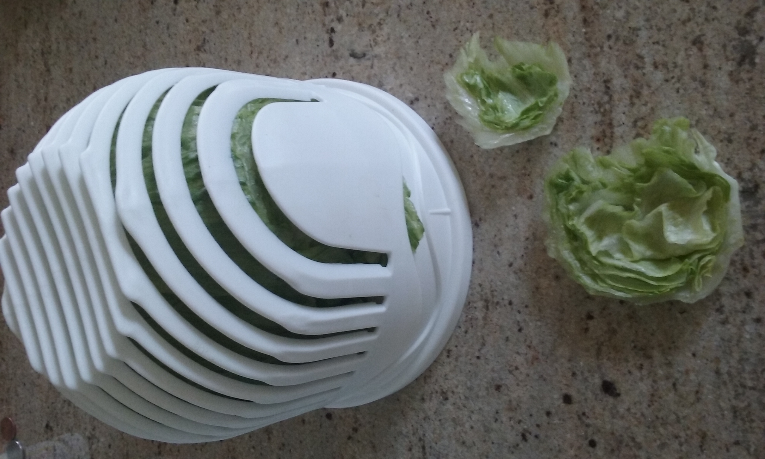 SALAD BOWL WITH CUTTING SLOTS